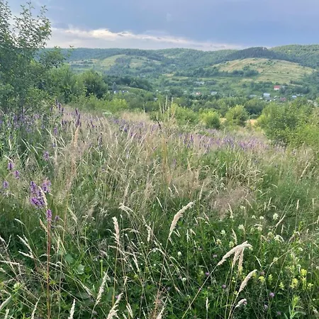 Σπίτι διακοπών Berrywood *